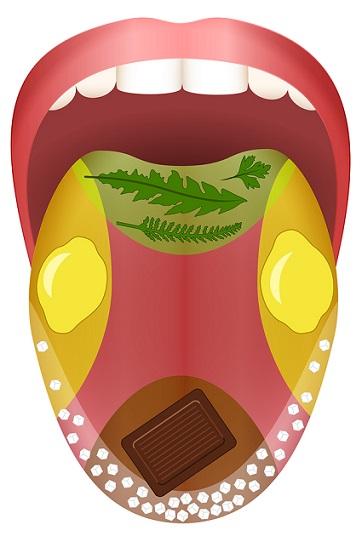 No hay Sabor sin Saliva – Clínica Dental Zalba